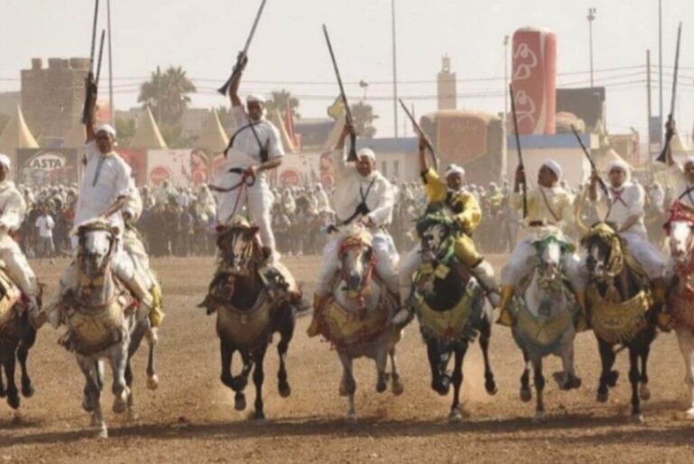 Le Cheval au Maroc : Symbole de Noblesse, Héritage et Fierté Nationale
