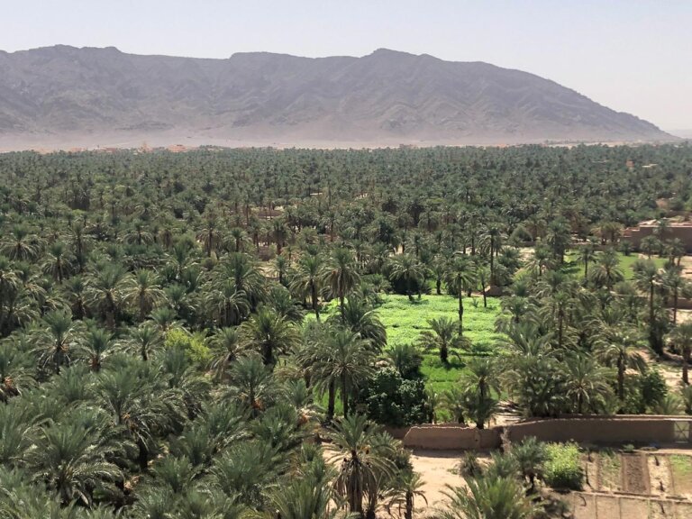 L’Oriental Desert Express : Un Voyage Gastronomique et Solidaire au Cœur du Désert Marocain