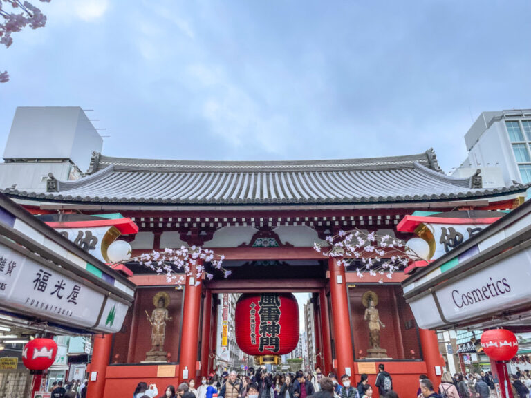Tokyo : Une Fusion Unique de Tradition et Modernité