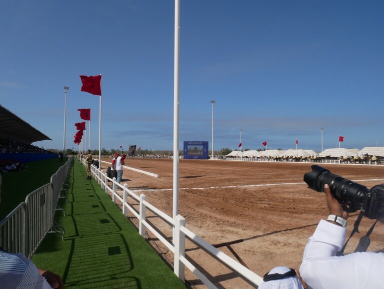Immersion at the El Jadida Horse Show 2024