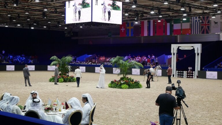 Immersion au Salon du Cheval d’El Jadida 2024