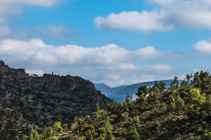 Le Printemps au Maroc : Vivez une Saison Magique Entre Nature, Culture et Aventures